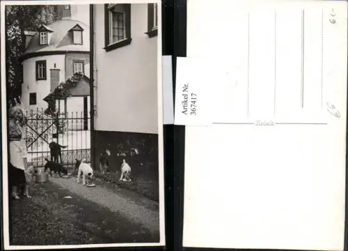 367417,Foto AK Tiere Hunde Terrier b. Essen