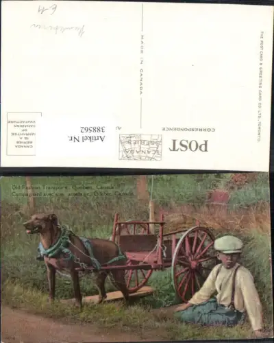 388562,Tiere Hund Hunde Hundekarren Junge Old Fashion Transport Quebec Canada Kanada