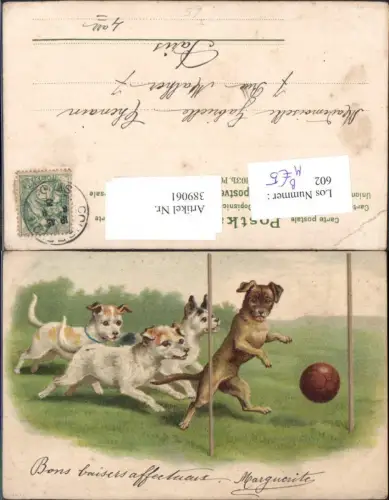 389061,Künstler Ak Tiere Hund Hunde b. Spielen Ball