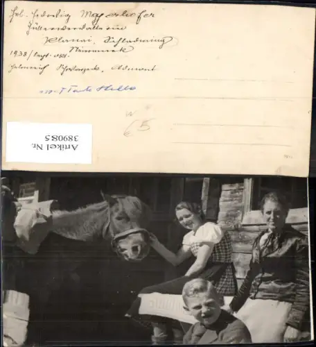 389085,Foto Ak Tiere Pferd m. Frauen Bub Junge v. Haus Planai Schladming