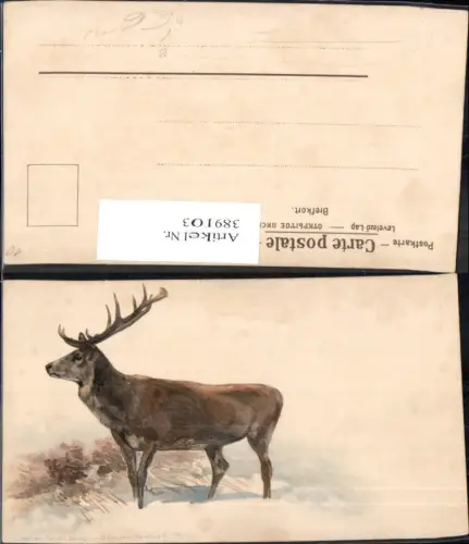 389103,Künstler Ak Tiere Hirsch Wild pub B. Dondorf Frankfurt/Main 121