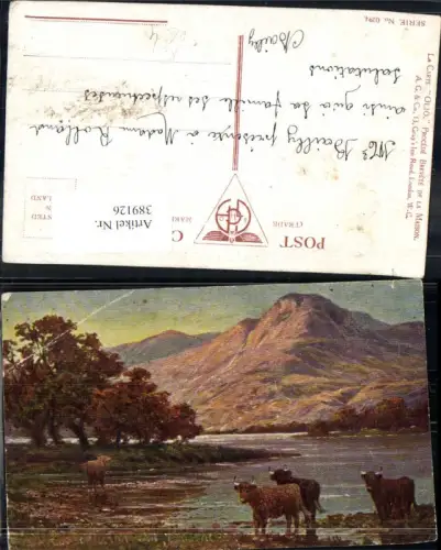 389126,Künstler Ak Rinder Kühe an See Landschaft Tiere pub Olio 0294