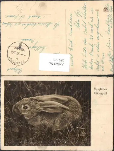389175,Tiere Hase Ostern