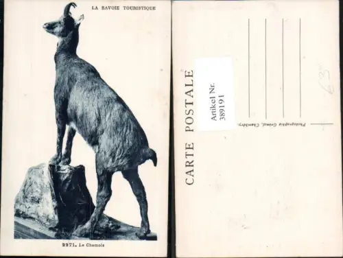 389191,Tiere Le Chamois Gams La Savoie Touristique