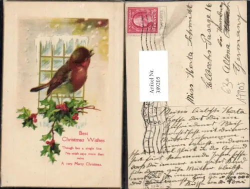 389205,Künstler Ak Tiere Vögel Vogel auf Stechpalmenzweig Fenster Best Christmas Wishes