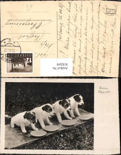 418269,Foto Ak 4 Welpen b. Futterschüssel Hund Hunde