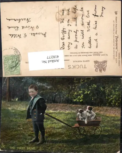 418277,The First Drive Bub Junge m. Leiterwagen Welpen Hund Hunde pub Raphael Tuck Sons 4453