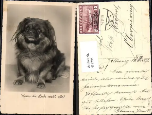 418295,Foto Ak Hund Wenn die Liebe nicht wär