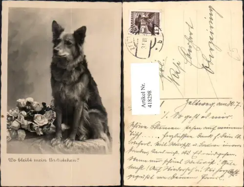 418298,Foto Mischling Hund Hunde m. Rosen Blumen Wo bleibt mein Bräutchen