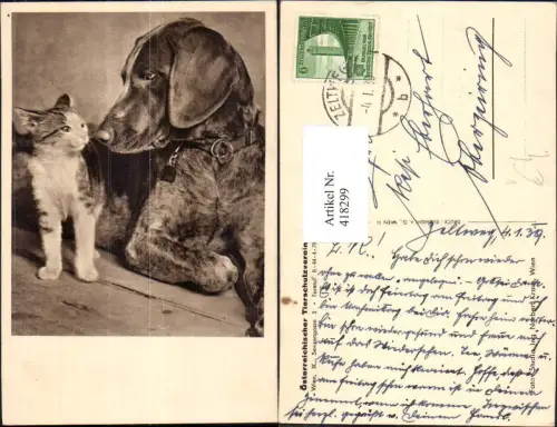 418299,Hund u. kleine Katze pub Österreichischer Tierschutzverein
