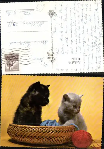 418312,Zwei Katzen Katzenkinder i. Korb Wollknäuel Wolle