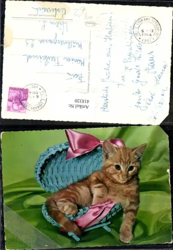 418320,Katze Katzenkind Roter Tiger i. Korb Schleife
