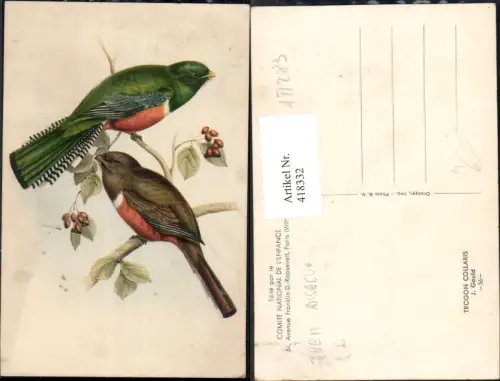 418332,Künstler Ak J. Gould Trogon Collaris Vogel Vögel auf Zweig sitzend