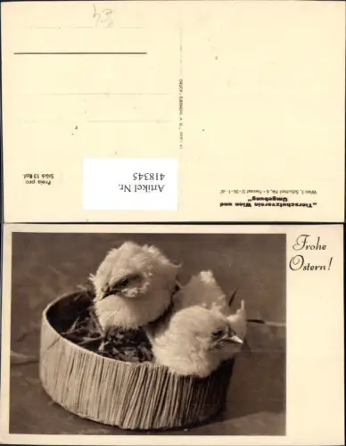 418345,Küken i. Nest Vogel Vögel Frohe Ostern pub Tierschutzverein