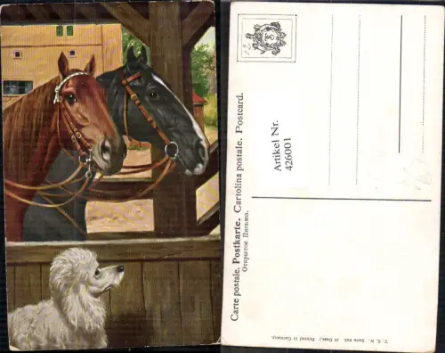 426001,Künstler Ak C. Reichelt unsign. Pferde m. Hund Pudel pub Theo Stroefer 842