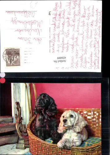426009,Hunde i. Körbchen v. Kamin