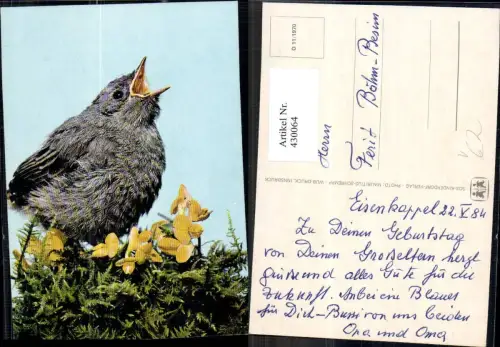 430064,Tiere Vögel Vogelküken auf Blütenstrauch pub SOS Kinderdorf