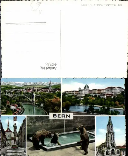 447336,Bern Totale Kirche Zoo Tiere Bären