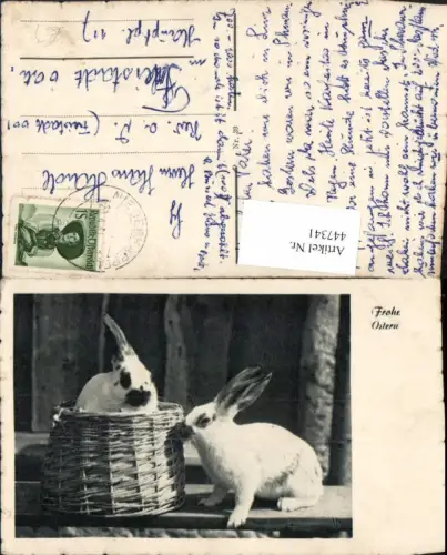 447341,Ostern Tiere Hasen Korb