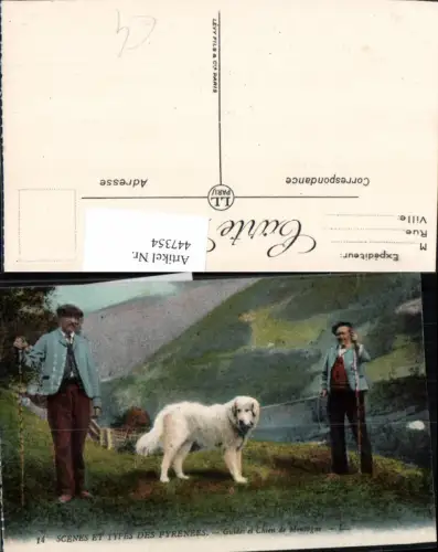 447354,Scenes et Types de Pyrenees Guides et Chien de Montagne Tier Hund