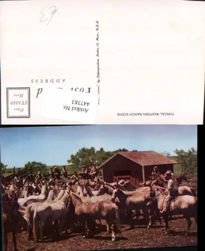 447383,Typical Western Ranch Scene Tiere Pferde