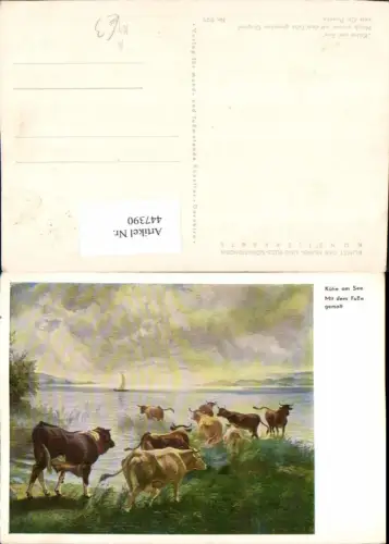 447390,Künstler AK Ch. Pasche Kühe am See Rinder