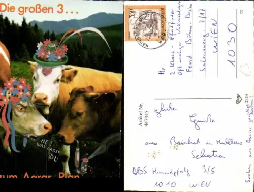 447445,Tiere Rinder Kühe Fotomontage Hüte Pfeife