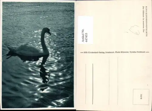 447453,Der Schwan in unserem See Tier pub SOS-Kinderdorf 54/6