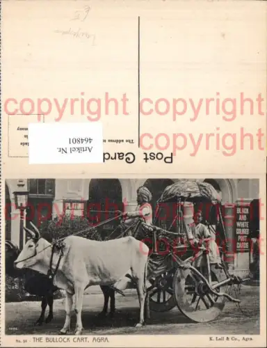 464801,Tiergespann The Bullock Cart Agra Ochsenwagen Volkstypen