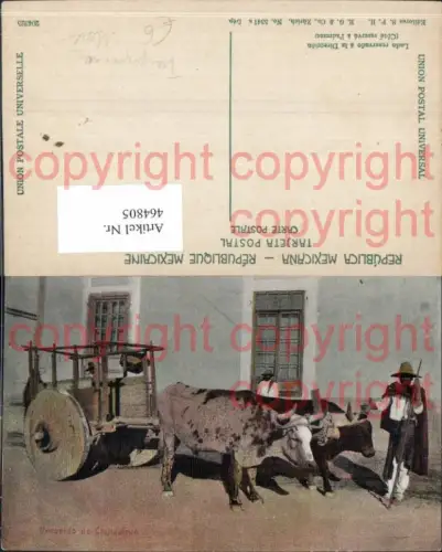 464805,Tiergespann Recuerdo de Ckikuahua Ochsengespann Mexiko