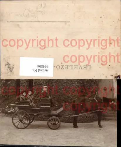 464806,Tiergespann Ponywagen Pferdewagen Kinder Uniform