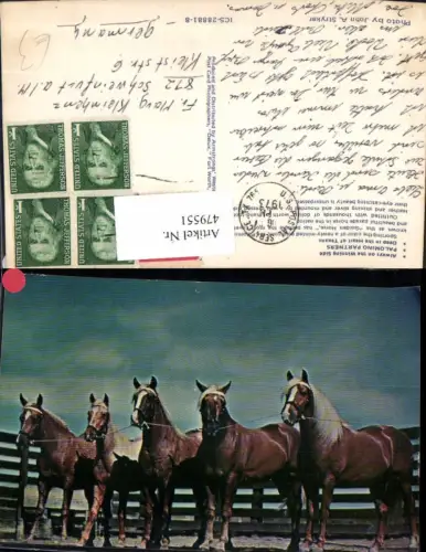 479551,Pferde Golden Horse Reklame Palomino Partners