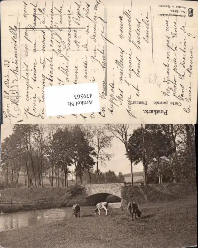 479563,Stimmungsbilder Rinder Kühe Weide Brücke Fluss Landschaft
