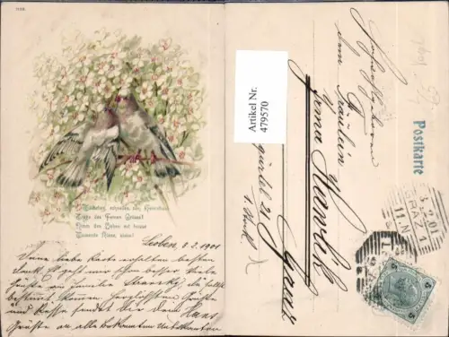 479570,Litho Vogel Vögel Blüten Blumen Spruch Text Tauben Brieftaube