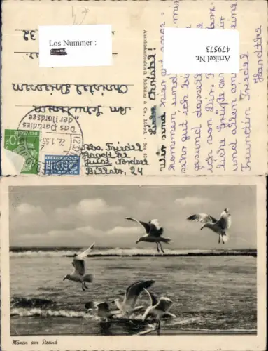 479573,Möwen a. Strand Vogel Vögel