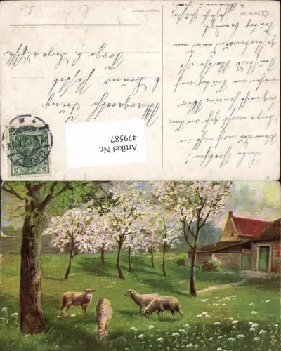 479587,Künstler Ak Schafe Bäume Garten Haus