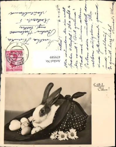 479589,Foto Ak Hase m. Eier Tuch Blüten Ostern