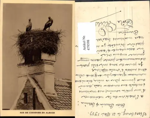 479598,Foto Ak Storch Störche Nest Nid de Cigognes en Alsace