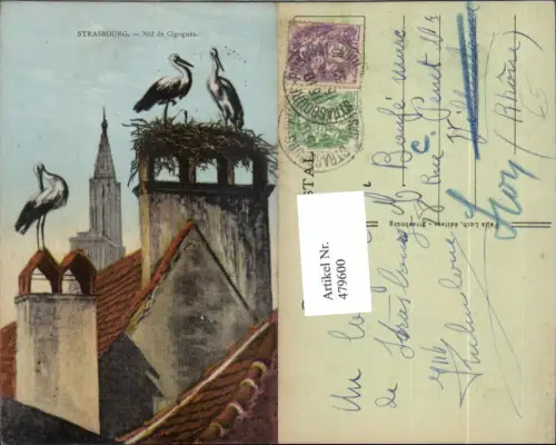 479600,Storch Störche Nest Strasbourg Nid de Cigognes