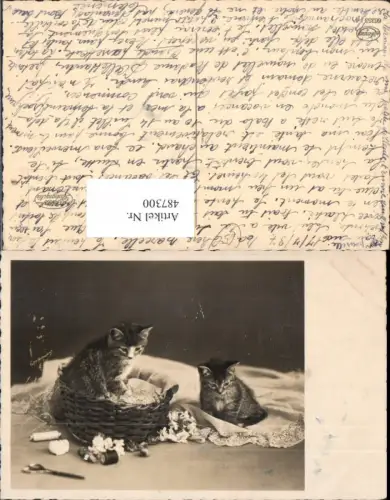 487300,Foto Ak Katzen Katzenkinder Korb Nähzeug Garn Schere