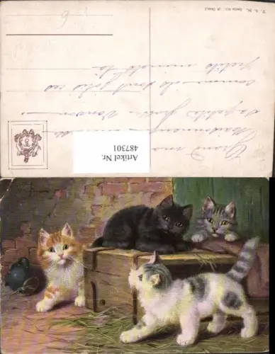 487301,Künstler Ak S. Sperlich Katzen Katzenkinder pub Theo Stroefer 811
