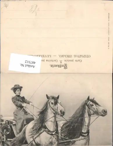 487312,Künstler Ak Frau lenkt Kutsche Pferde pub Theo Stroefer 249/1