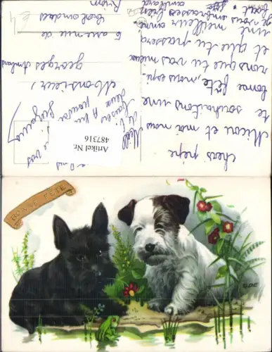 487316,Künstler Ak Hunde m. Frosch Blumen Bonne Fete