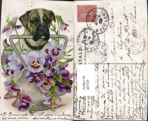 487329,Hund m. Korb Stiefmütterchen Blumen