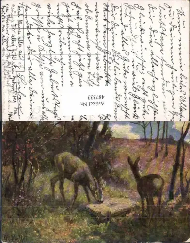 487333,Künstler Ak Mattri Rehe Wild Jagd