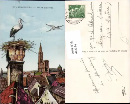487344,Strasbourg Nid de Cigognes Storch Störche Nest Dächer Stadt