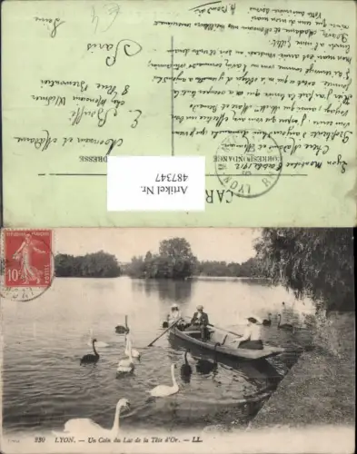487347,Schwan Schwäne Lyon Un Coin du Lac de la Tete d Or