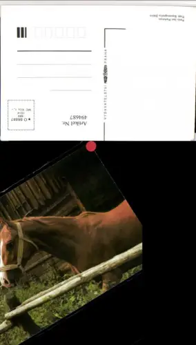 494687,Tier Pferd Geschirr