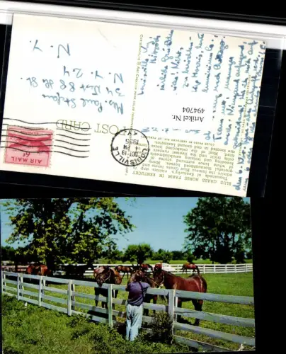 ,Blue Grass Horse Farm in Kentucky Pferde Tiere Zaun