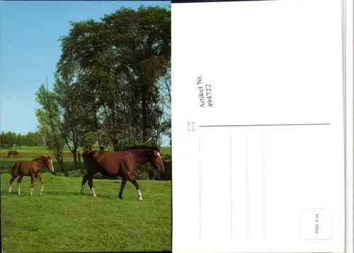 ,Tiere Pferde Landschaft